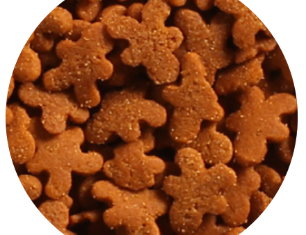 Gingerbread Man Sprinkles For Discount